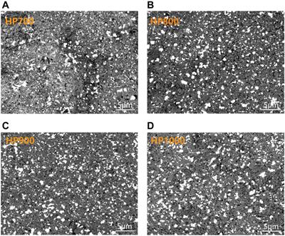 Effect of Bi-B-Si-Zn-Al glass additive on the properties of low-temperature sintered silicon carbide ceramics